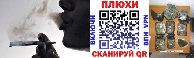 закладка Бирюч ГАШ индика сатива