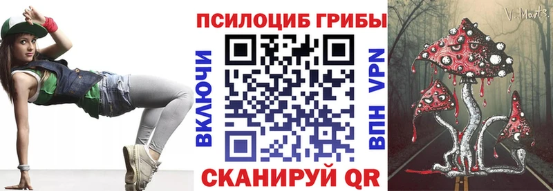 это какой сайт  что такое   Бирюч  Галлюциногенные грибы Cubensis 